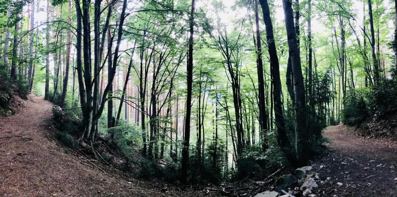 El Refugio De La Ardilla, Apartamento Canfranc-Estacion Zewnętrze zdjęcie
