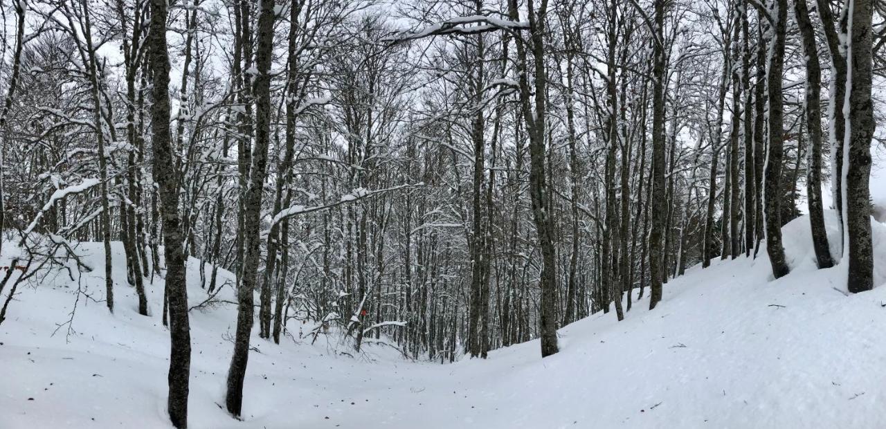 El Refugio De La Ardilla, Apartamento Canfranc-Estacion Zewnętrze zdjęcie